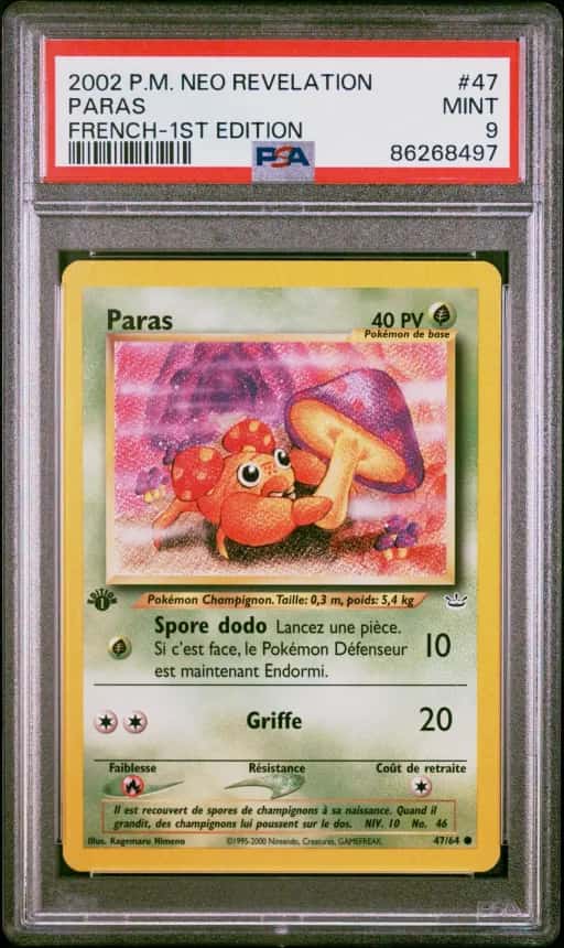 Paras 47/64