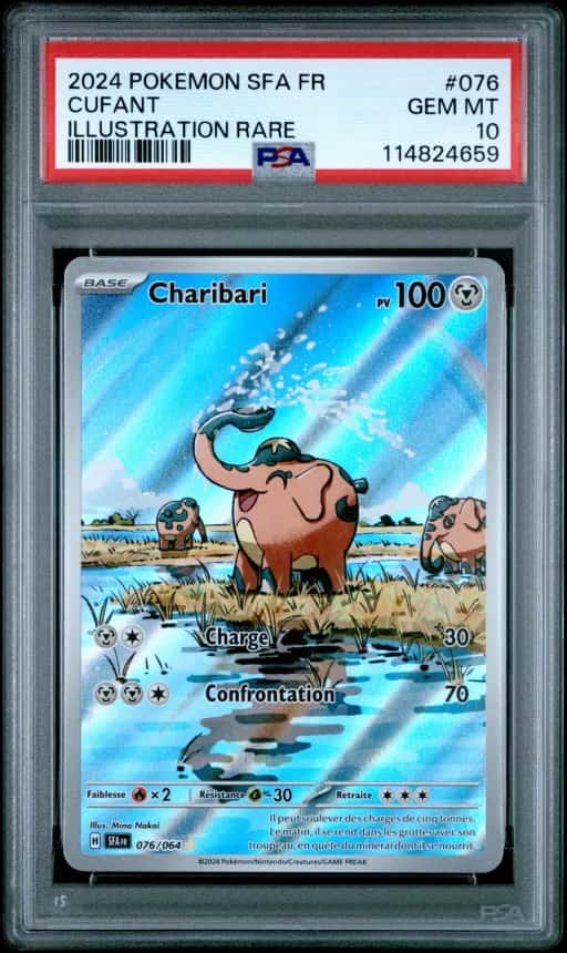 Charibari 76/64