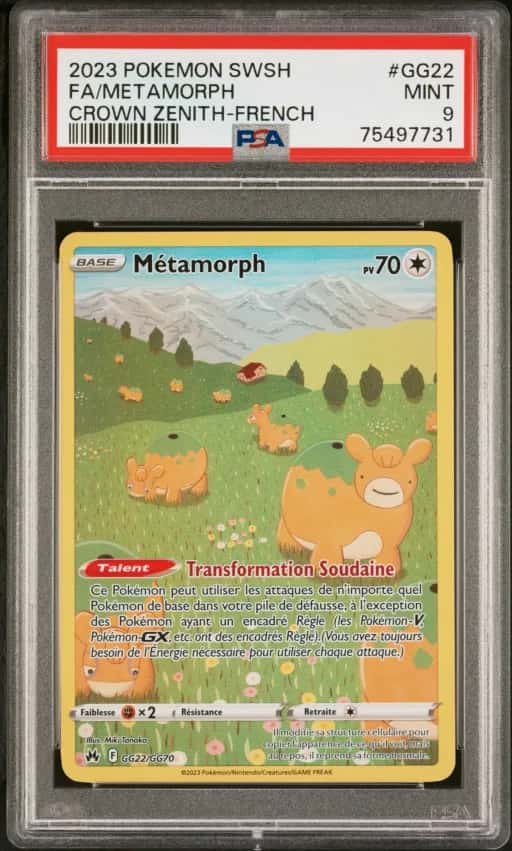 Métamorph (Chamallot) GG 22