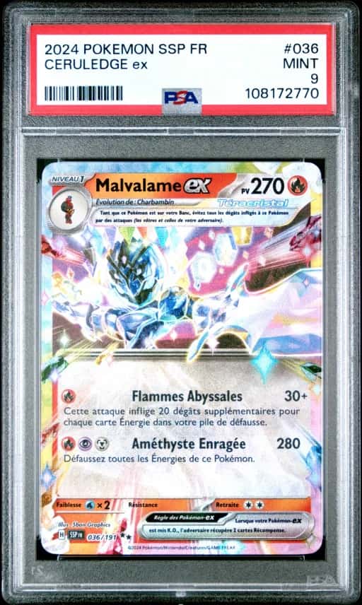 Malvalame ex 36/191