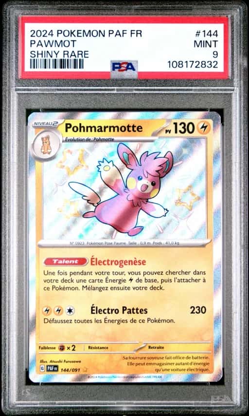 Pohmarmotte 144/91