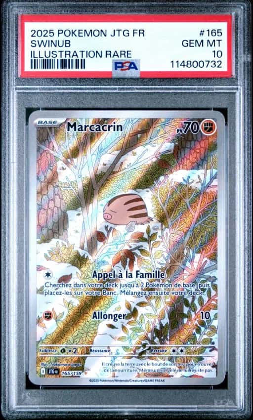 Marcacrin 165/159
