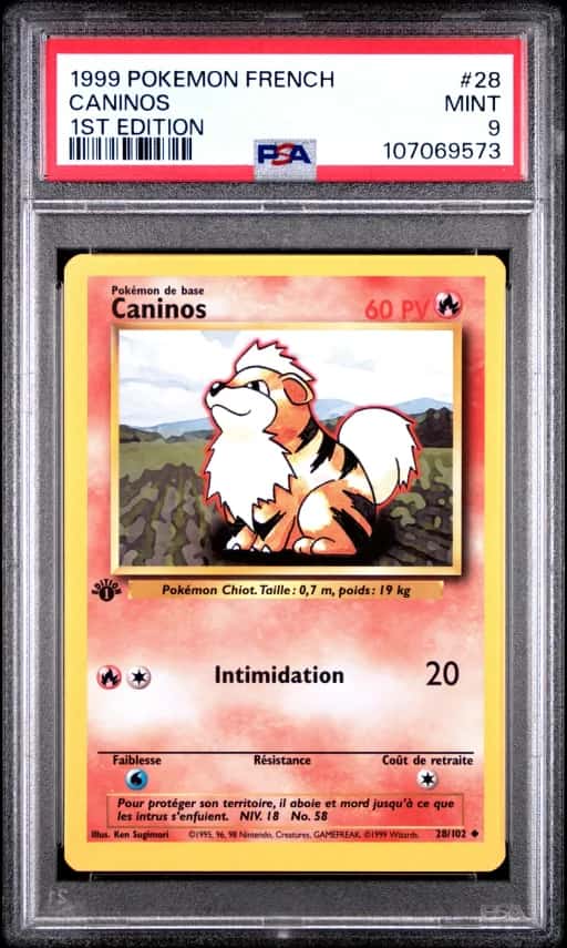 Caninos 28/102