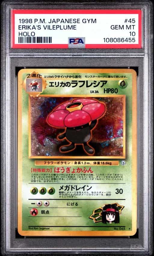 Rafflesia d'Erika 45