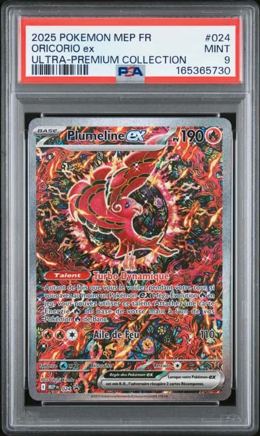 Plumeline ex 024/6