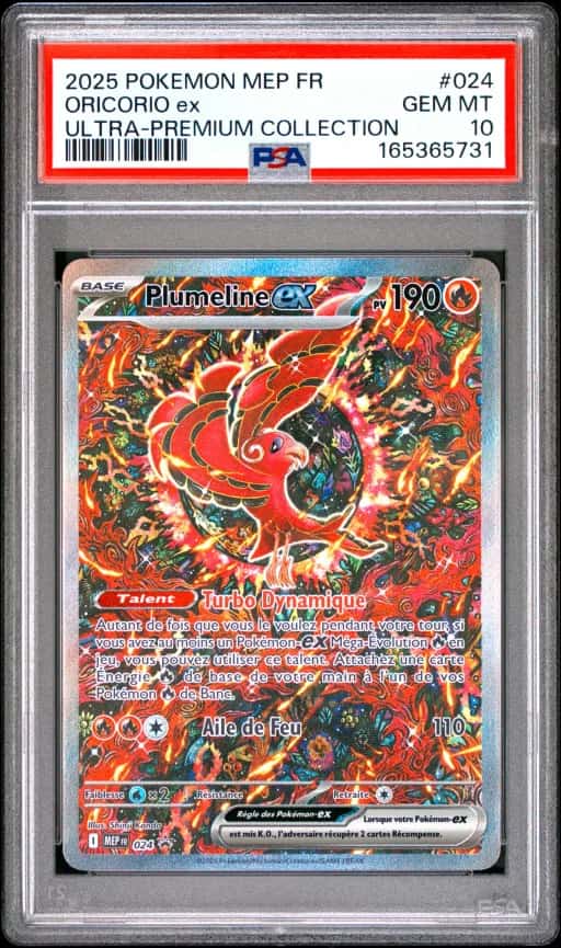 Plumeline ex 024/6