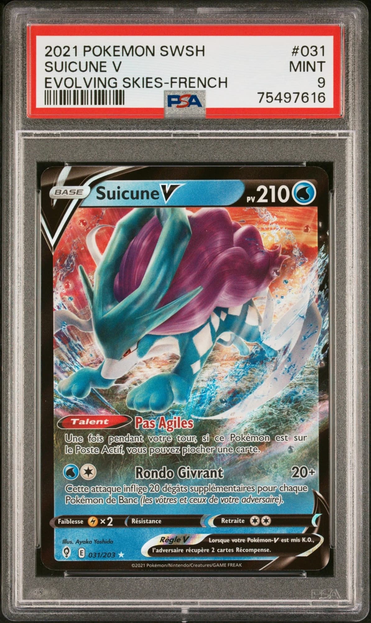 Suicune-V 31/203