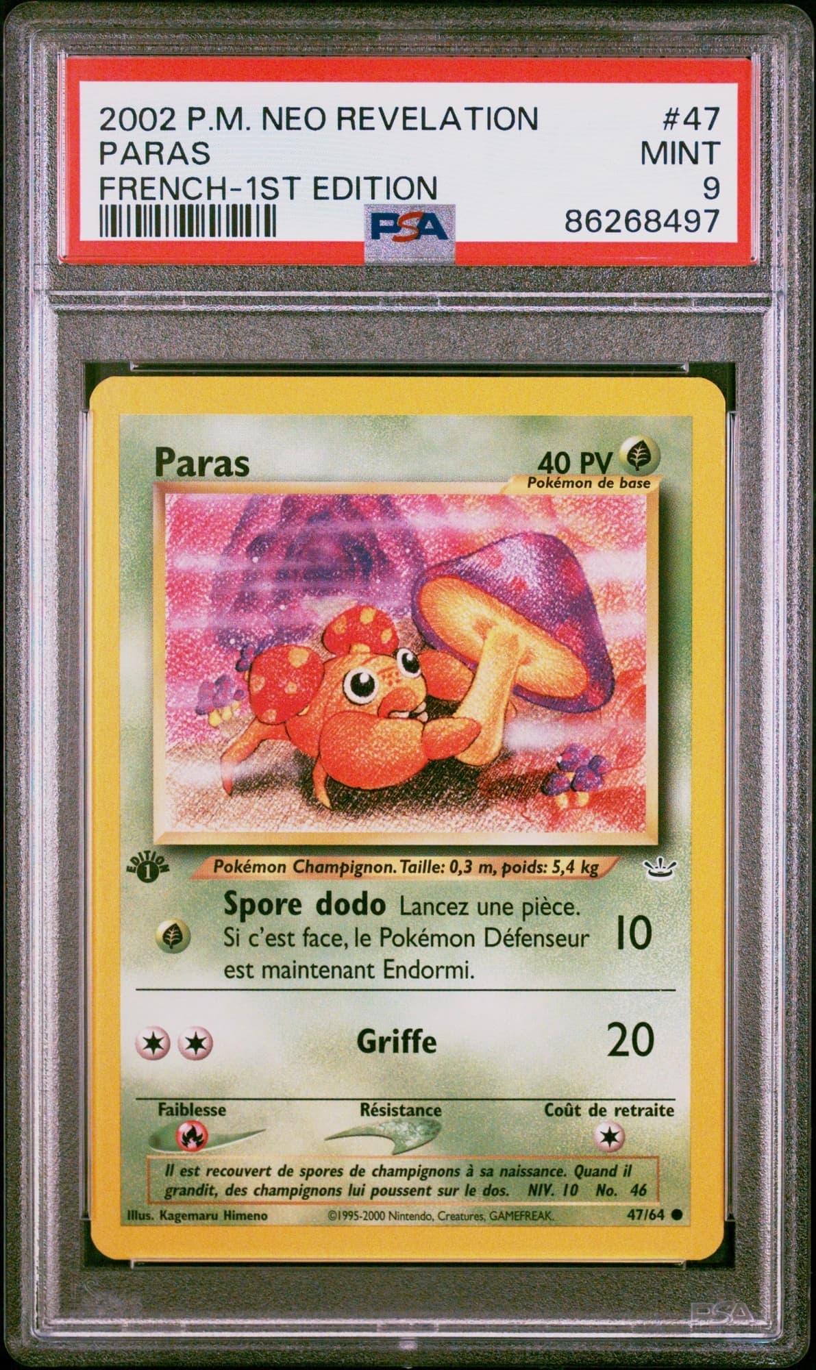 Paras 47/64