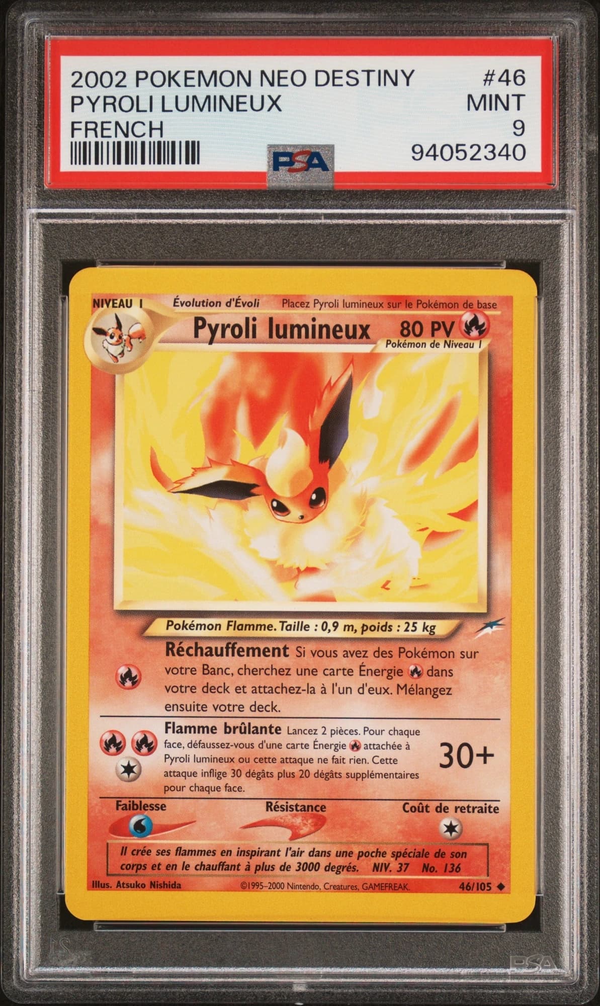 Pyroli lumineux 46/105