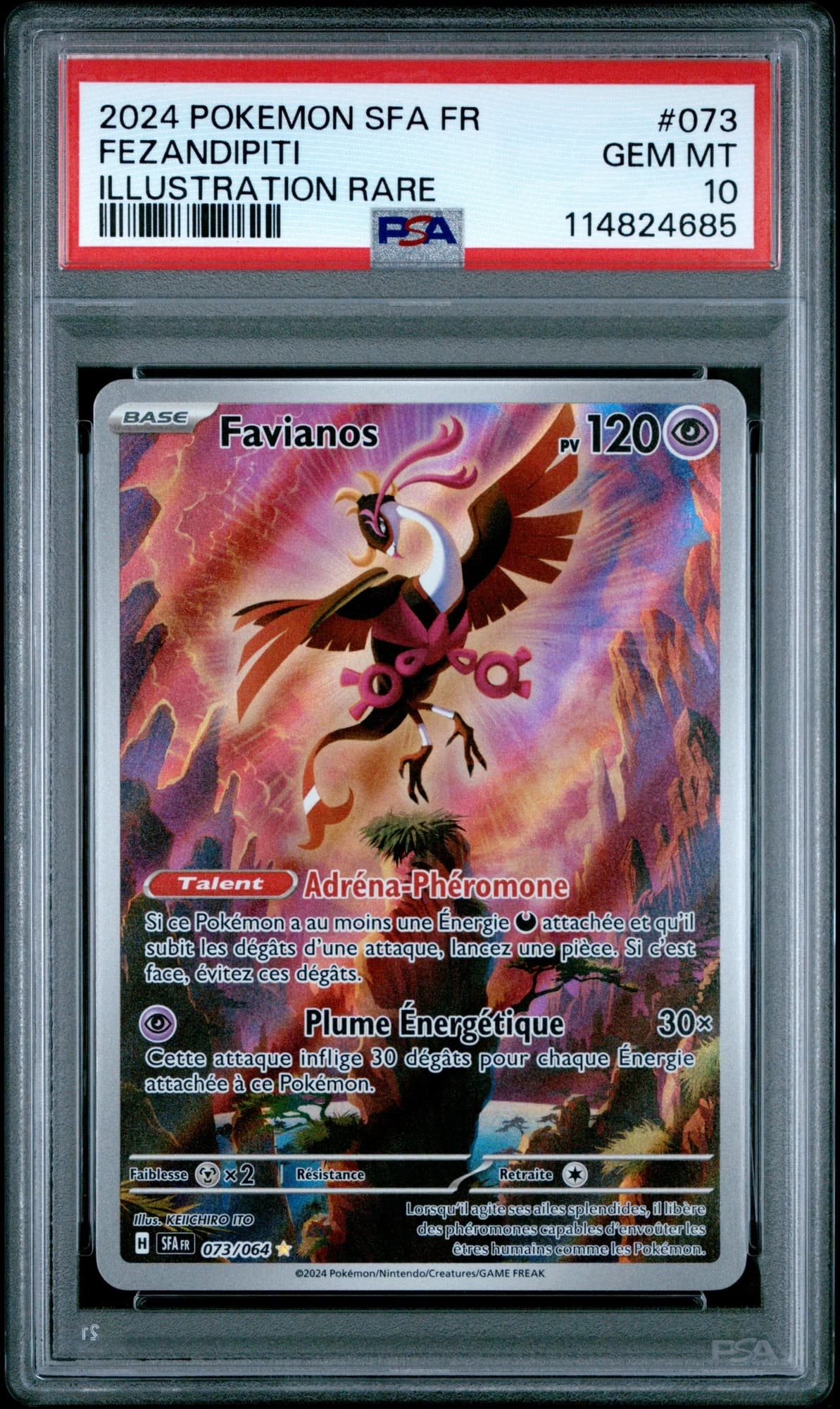 Favianos 73/64