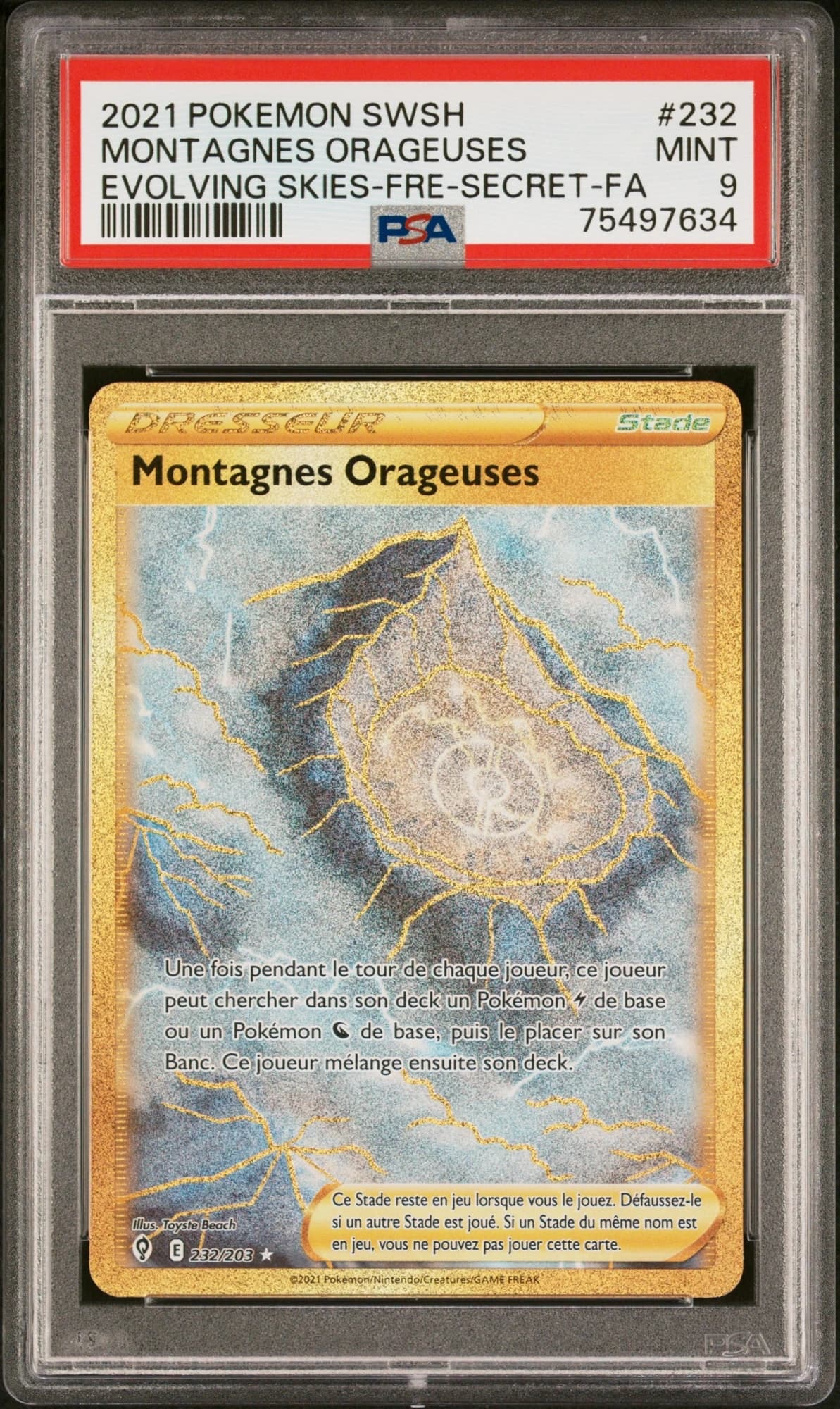 Montagnes Orageuses 232/203