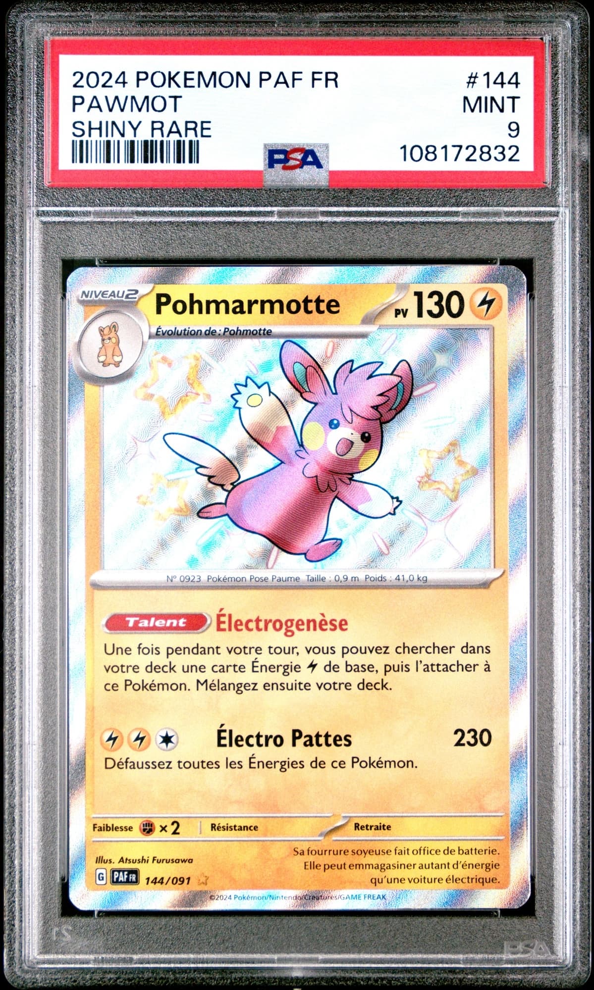 Pohmarmotte 144/91