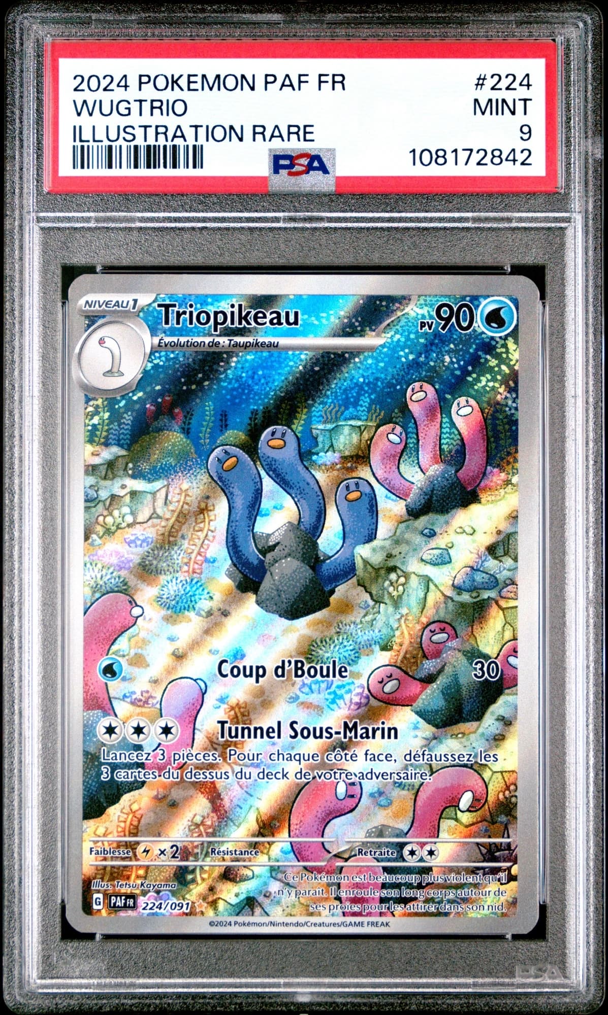 Triopikeau 224/91
