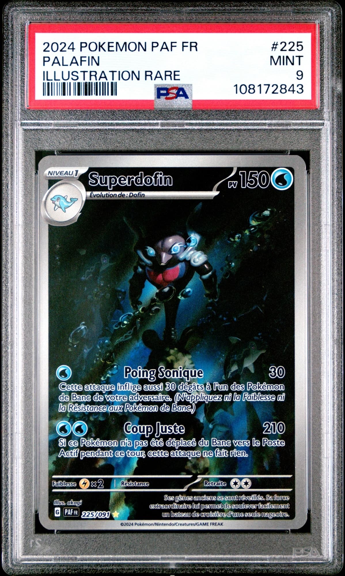 Superdofin 225/91