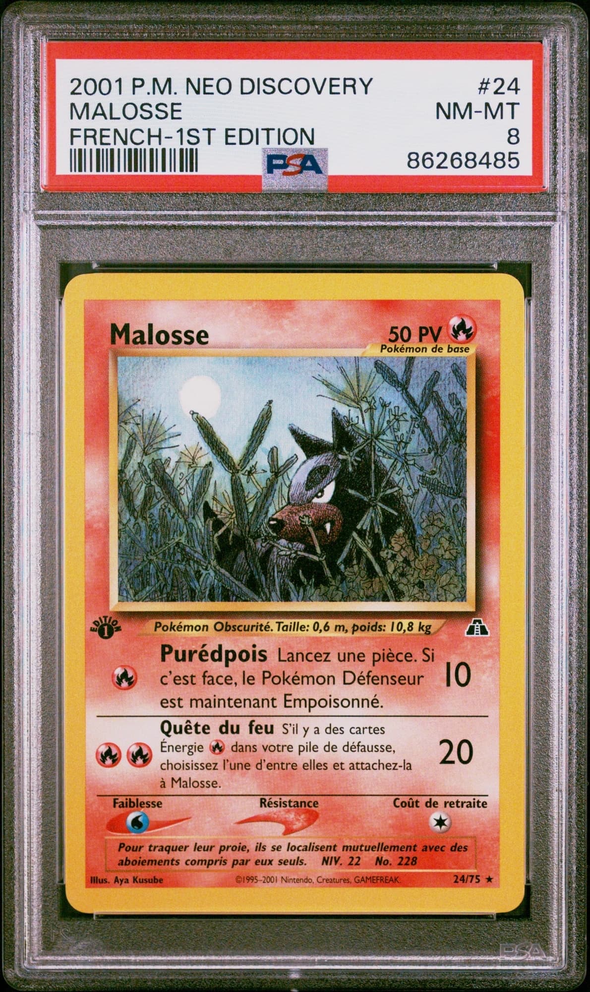 Malosse 24/75