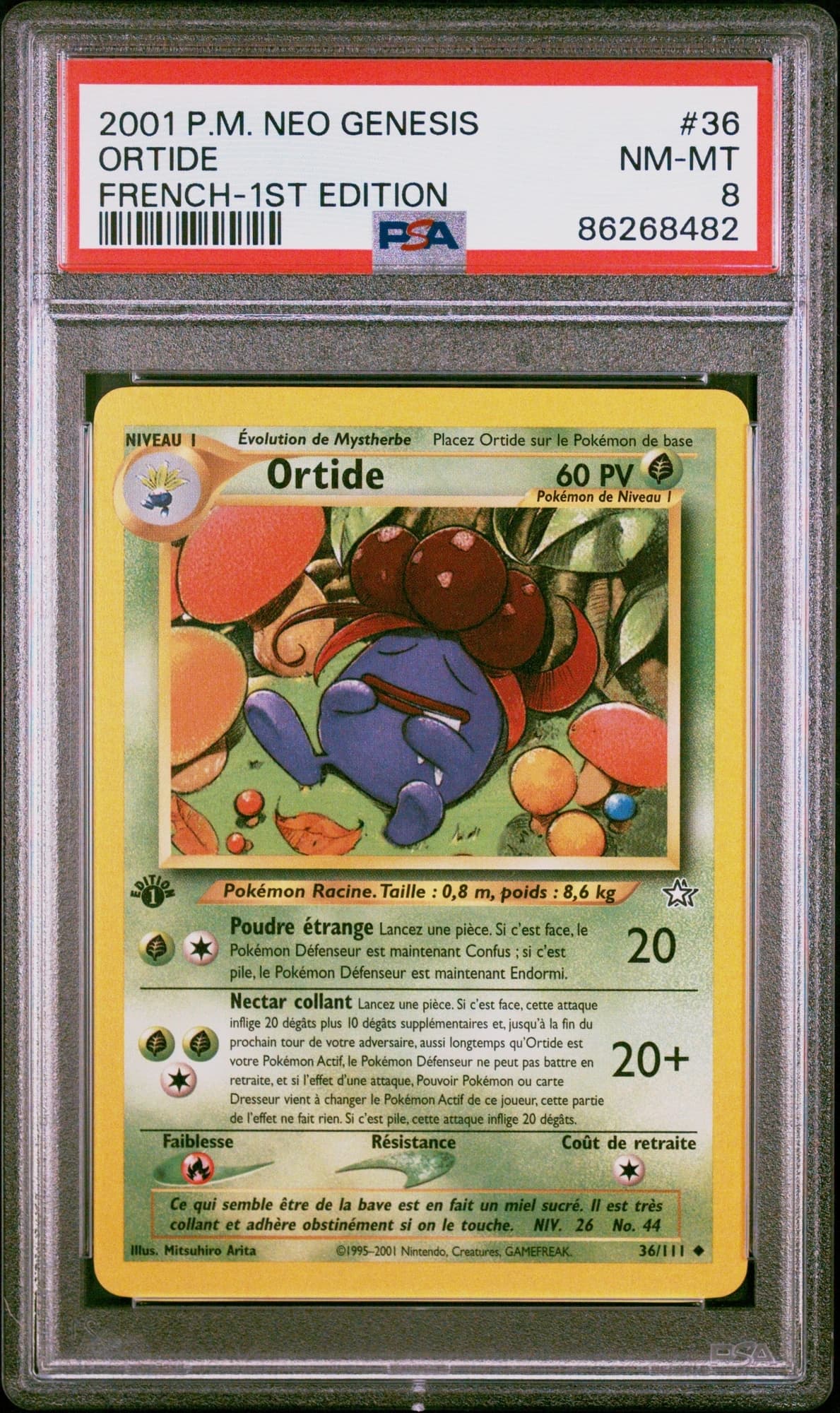 Ortide 36/111