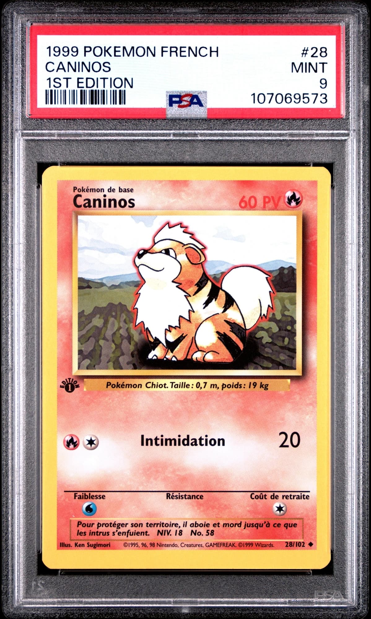 Caninos 28/102