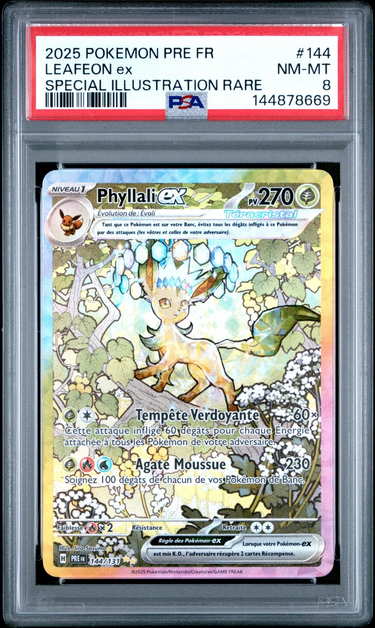 Phyllali ex 144/131