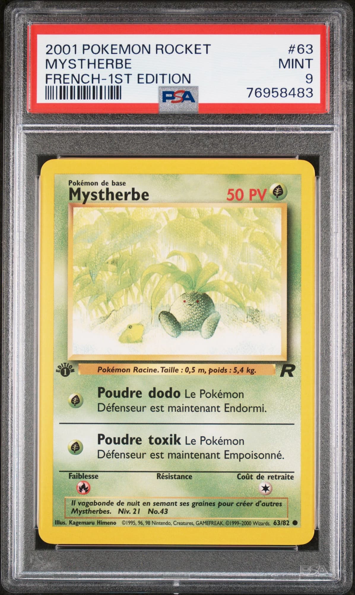 Mystherbe 63/82