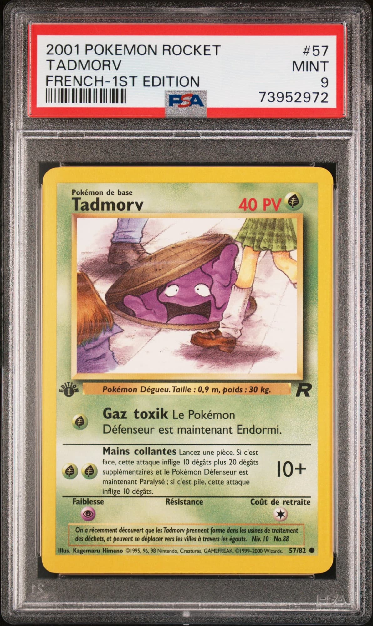 Tadmorv 57/82