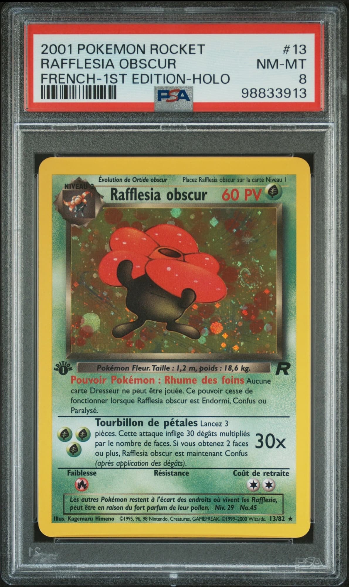 Rafflesia obscur 13/82
