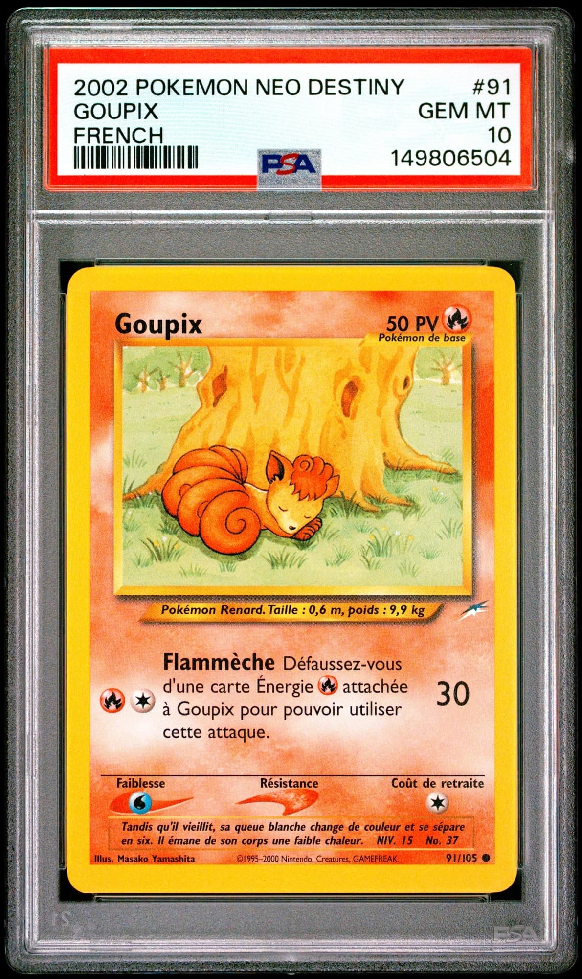 Goupix 91/105