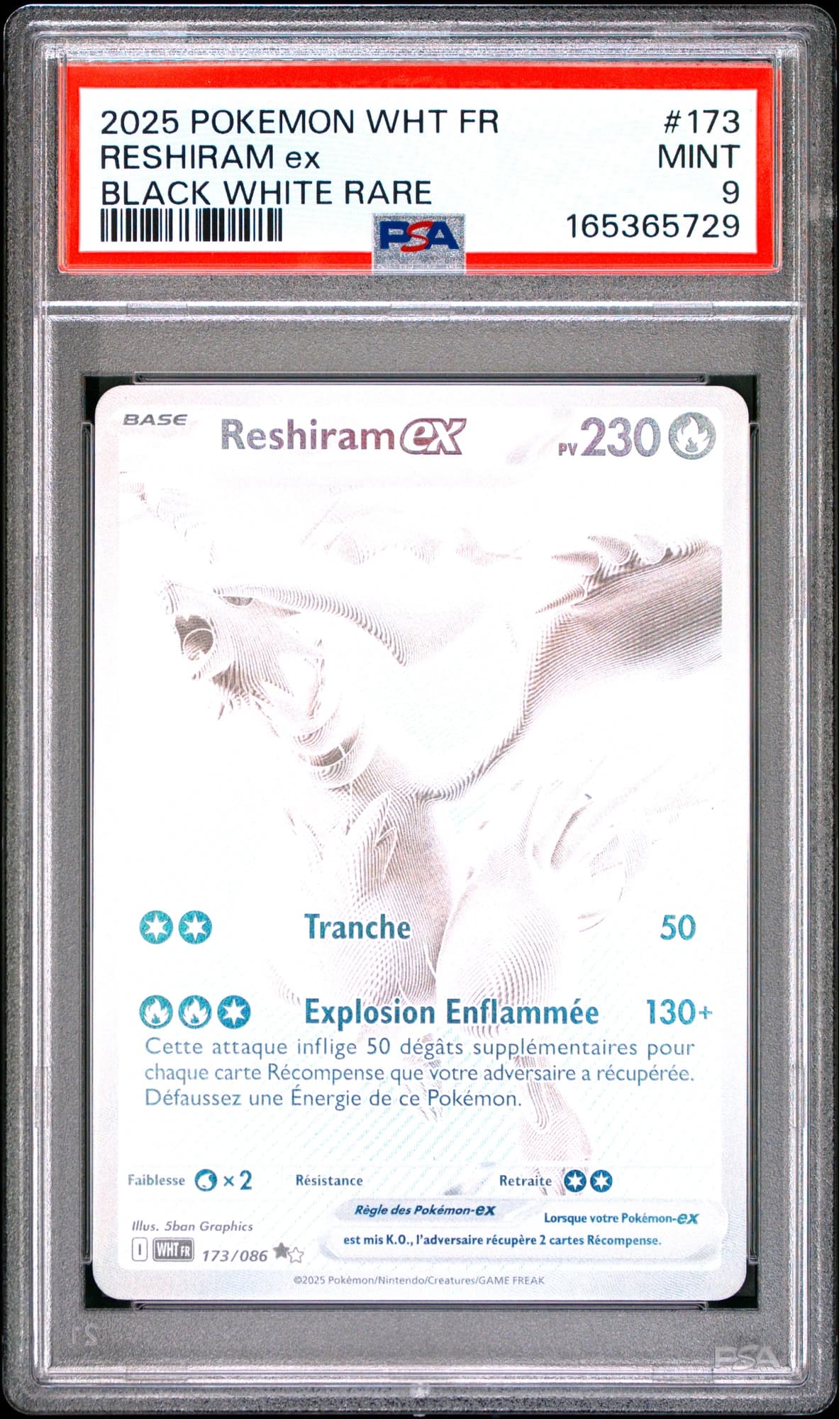 Reshiram ex 173/86