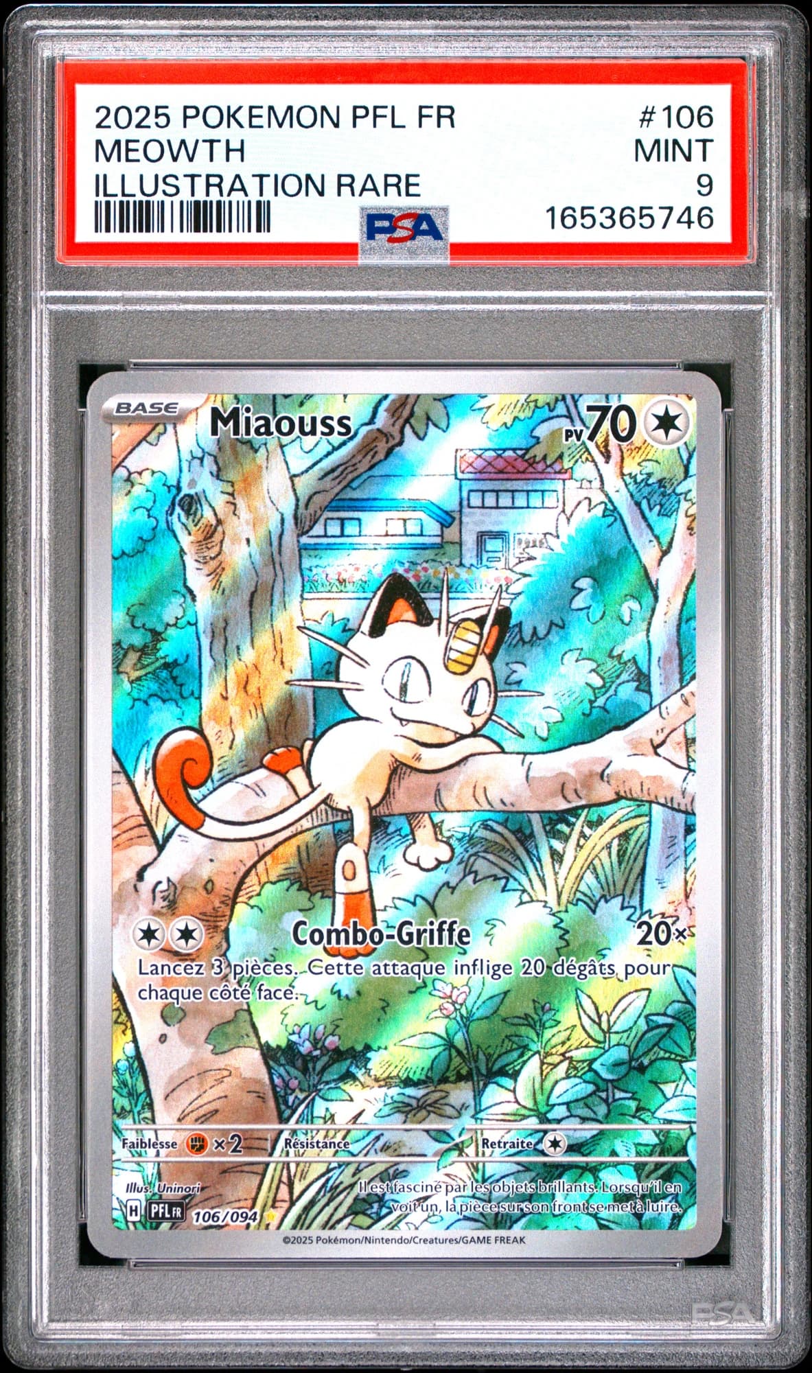 Miaouss 106/94